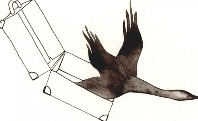 Uccelli migratori, disegno di Davide Racca